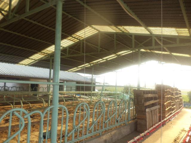 SATILIK  3000M2 KAPALI ALANLI FULL BYK VE KKBA HAYVAN FTL